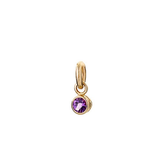 renne-jewellery-9-carat-gold-amethyst-tiny-sweetie-charm