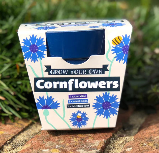 Gardening for Kids Cornflower Growing Kit