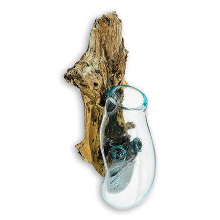 Not specified Root Wall Hanging Sculpture with Glass Bowl