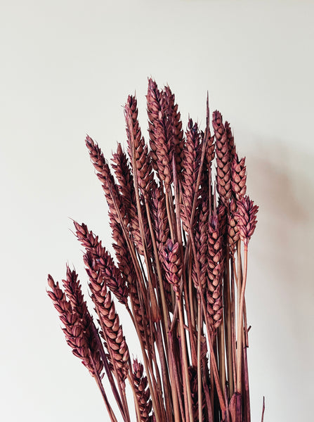 Uma Cantik Wheat Purple Dried Flowers