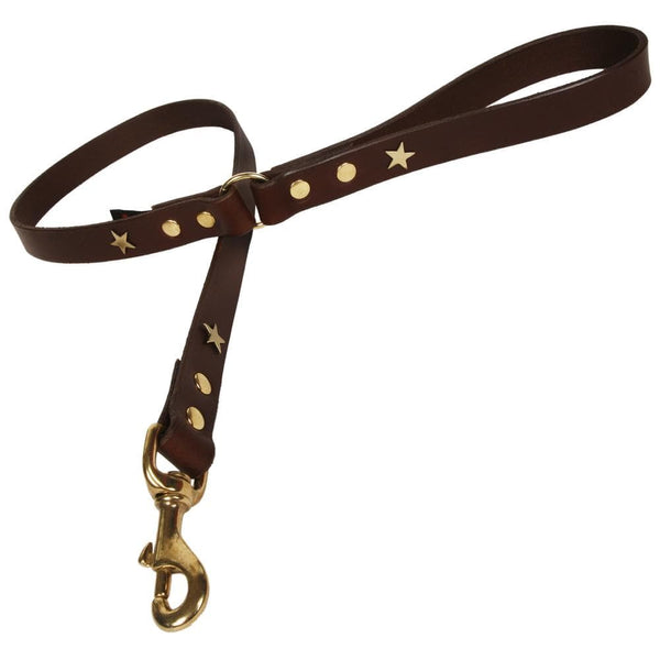 Creature Clothes Chocolate Brass Stars Studded Dog Lead