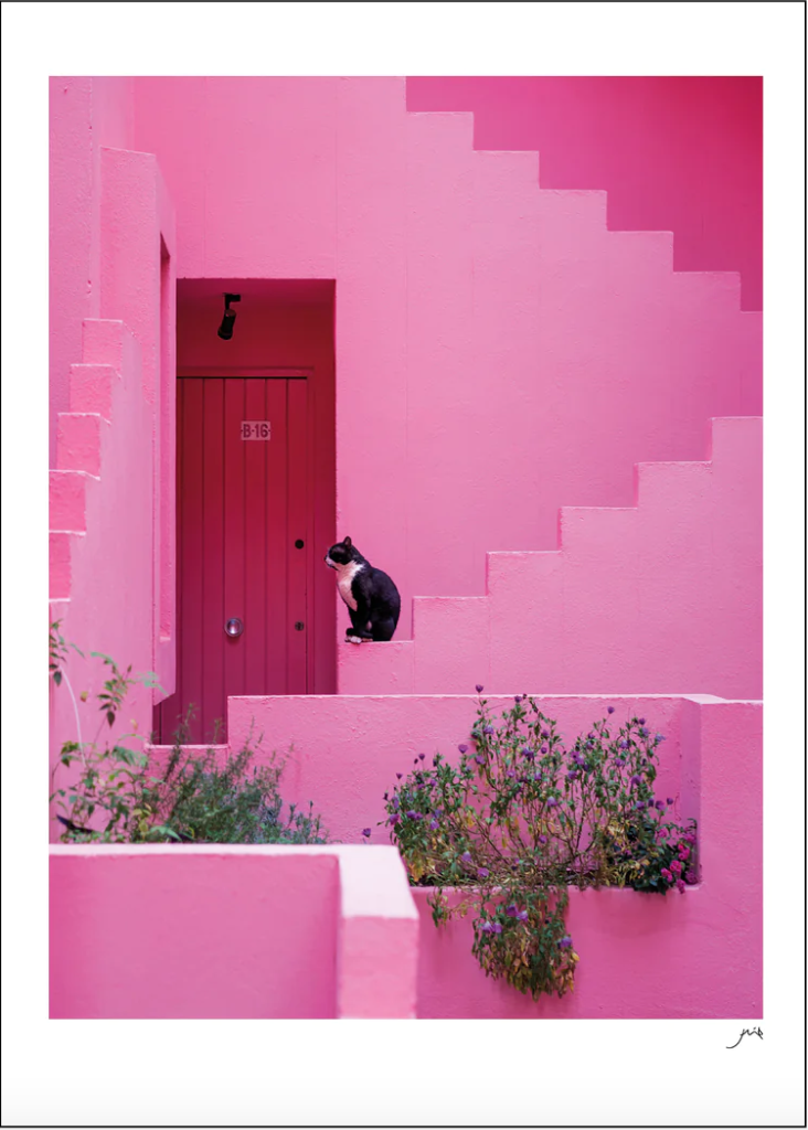 Poster & Frame Pink Panther Print 50 x 70cm 