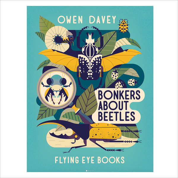 Intrepid Owen Davey Bonkers About Beetles Book by Davey Owen
