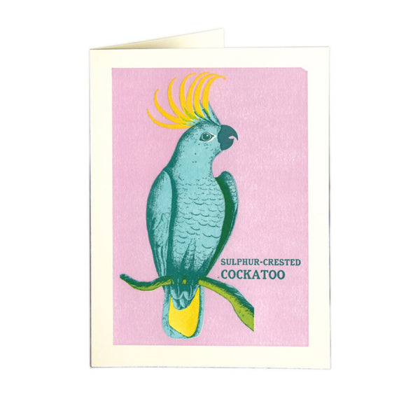 Archivist Sulphur-crested Cockatoo Card
