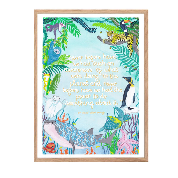 Ali Cottrell David Attenborough Father Earth Quote Print