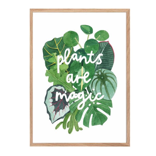 Katrina Sophia Plants Are Magic Print