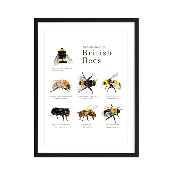 Made Natural British Bee Print