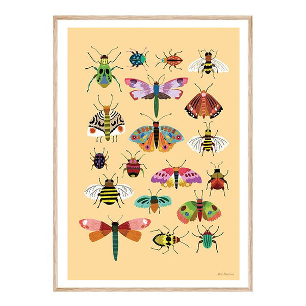 Brie Harrison  Print A4 Insects