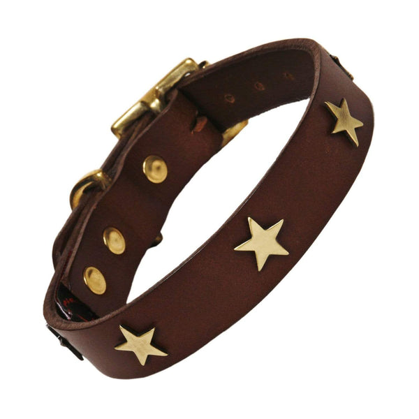 Creature Clothes Size 1 Chocolate Brass Stars Dog Collar