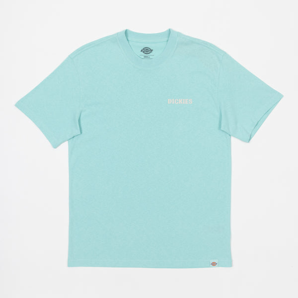 Dickies Hays Graphic T-shirt in Pastel Turquoise