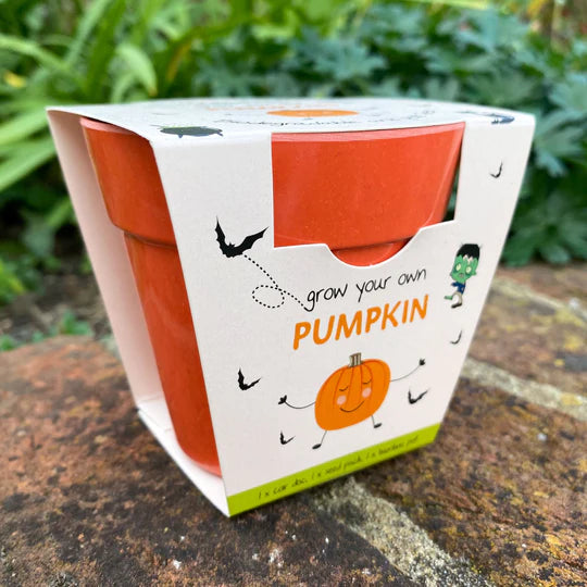 Gardening for Kids Pumpkin Growing Kit