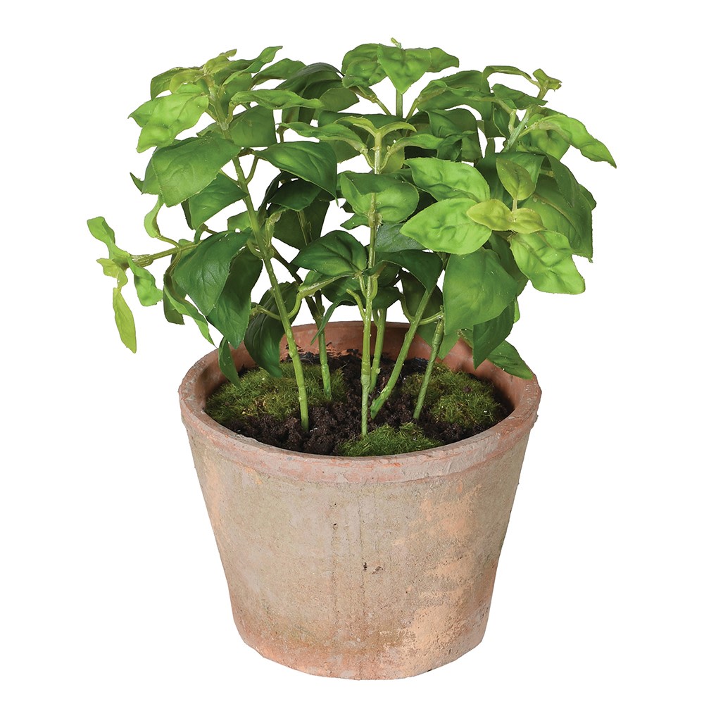 Just So Interiors Artificial Basil in Clay Pot