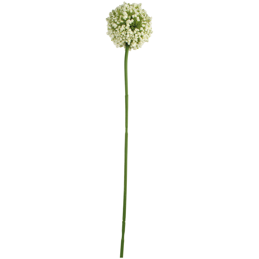 Grand Illusions Single White Allium 