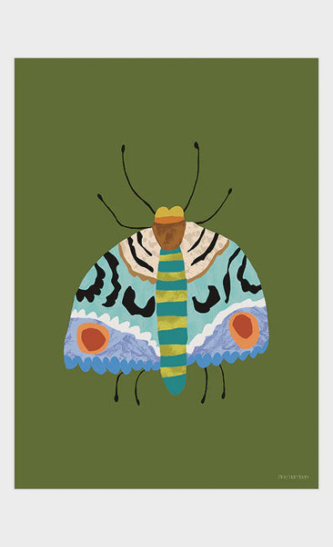 Brie Harrison  Moth Art Print A4