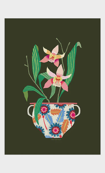 Brie Harrison  Orchid Art Print A4
