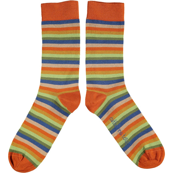 Catherine Tough Mens Cotton Ankle Socks - Multi Stripes