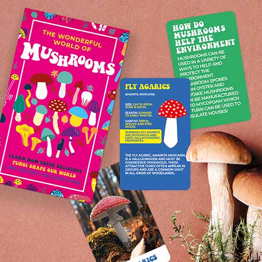Gift Republic The Wonderful World of Mushrooms Cards