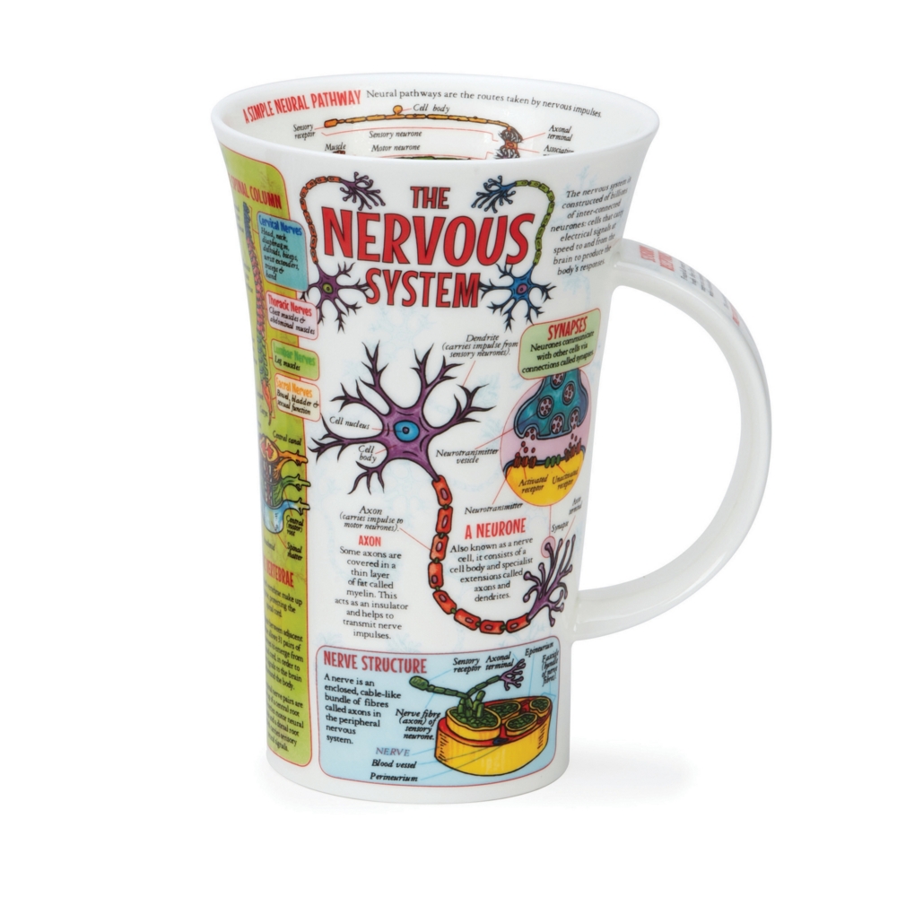 Dunoon Glencoe The Nervous System Mug