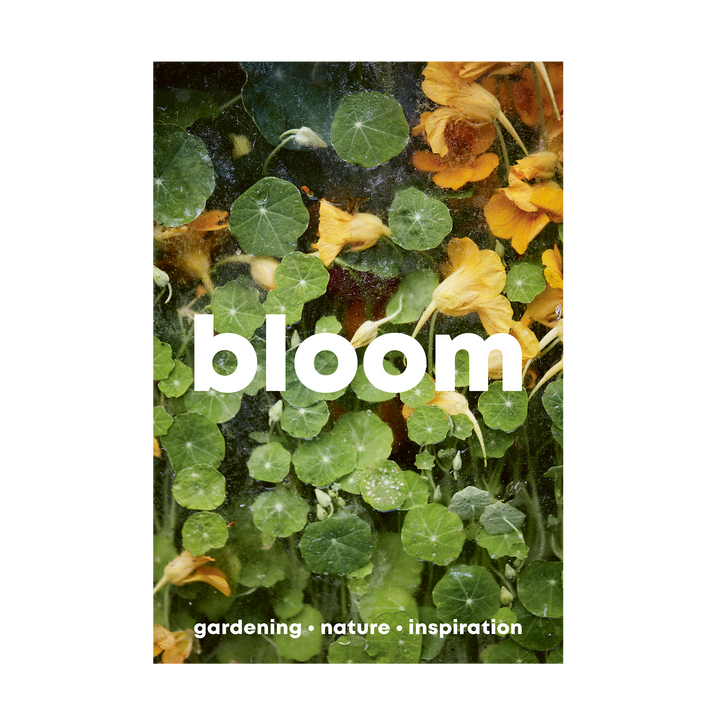 Issue 15 Bloom Magazine 