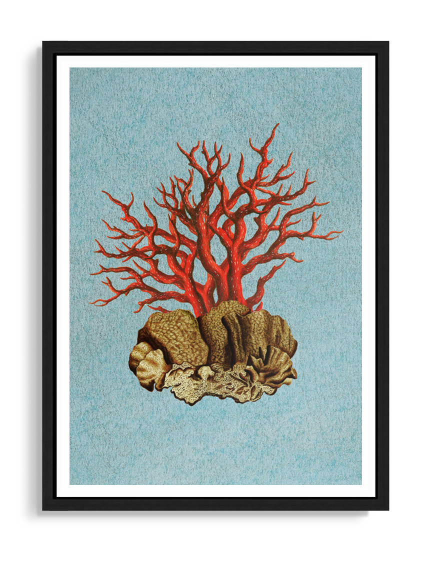 Tartan and Zebra Láminas Decorativas 'Corales Rojos' - 70x50cm / Diseño D