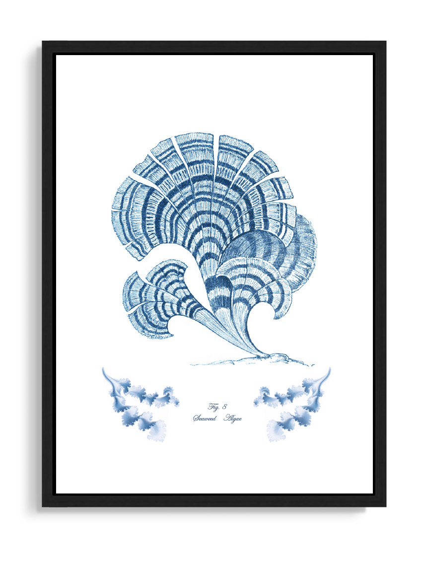 Tartan and Zebra Láminas Decorativas 'Corales Y Algas Azules' - 70x50cm / Diseño I