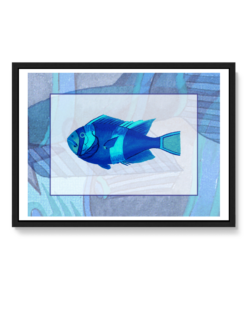 tartan-and-zebra-laminas-decorativas-peces-azules-50x40cm-diseno-b