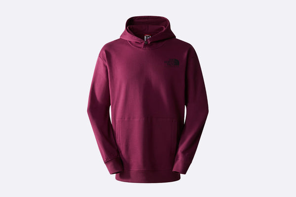 The North Face  Coordinates Hoodie