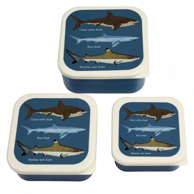 Rex London Shark Snack Boxes