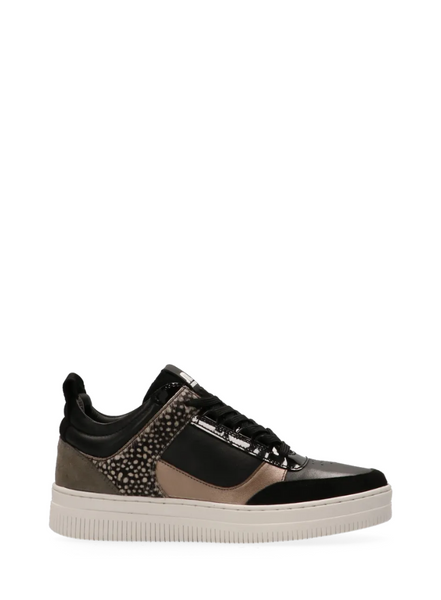 Maruti  Mel Leather Trainers In Black/bronze/pixel From Maruti