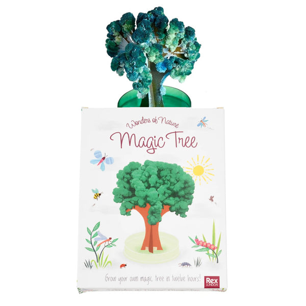 Rex London Magic Tree Grow Your Own Tree