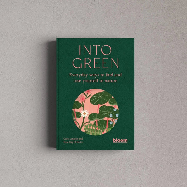 Frances Lincoln Publishers Into Green Book  by Caro Langton and Rose Ray