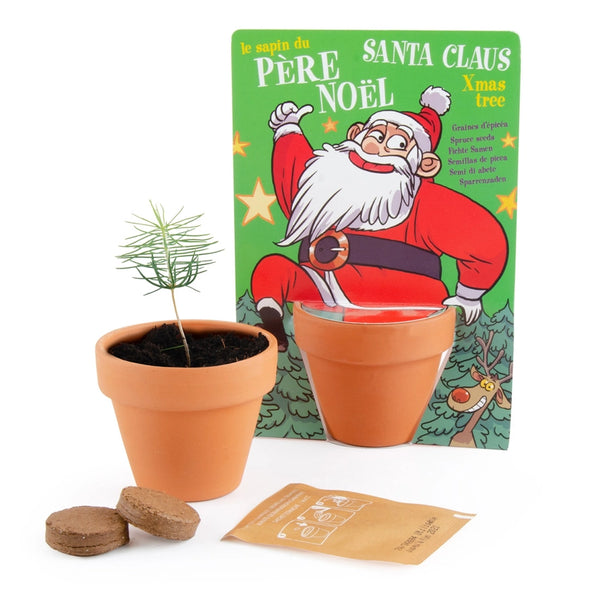 Radis et Capucine Top Noel - Nature Card - Santa Claus - Pine