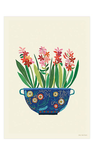 Brie Harrison  Hyacinths Art Print A3- Wholesale