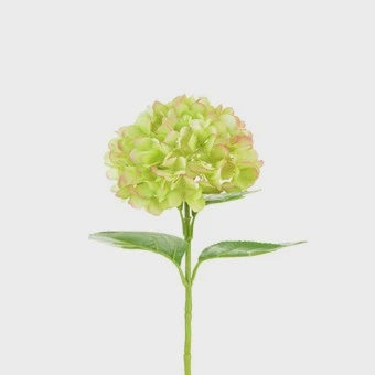 Floral Silk Hydrangea Mophead- 58cm
