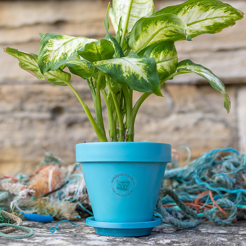 Ocean plastic pots 13cm Blue Chelsea Pot and Saucer Set