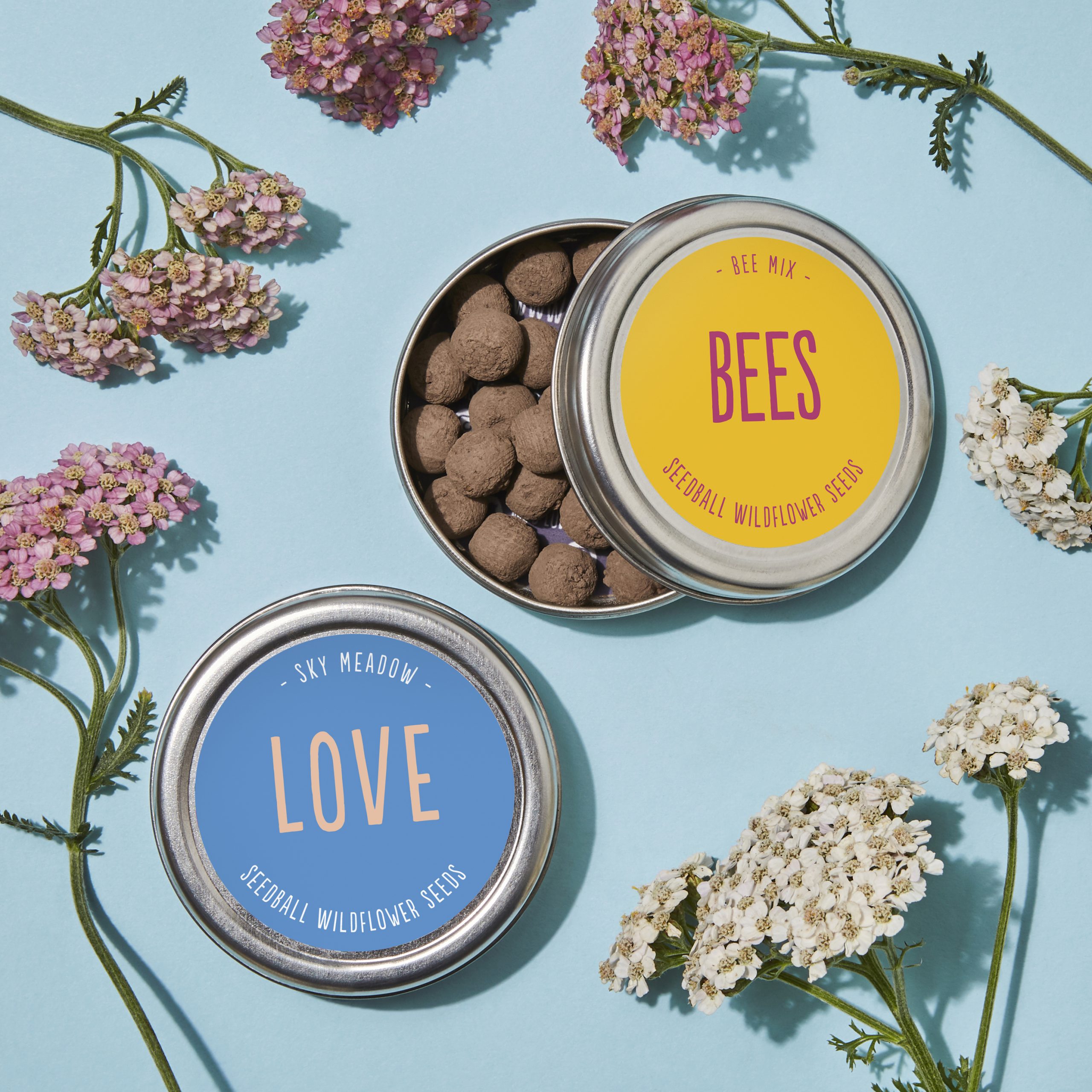 seedball Love and Bees Gift Set