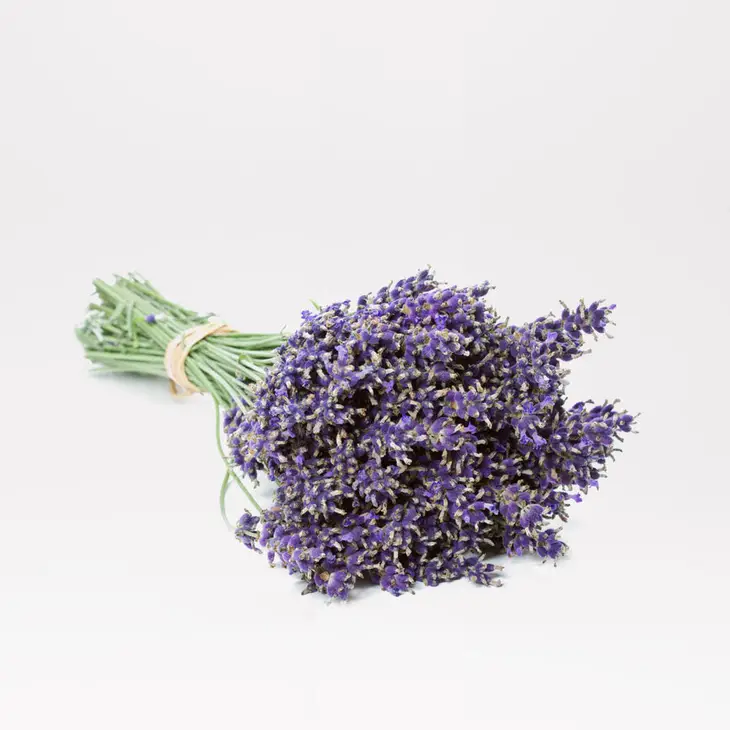 Quintessentially English Dried Lavender Bunch