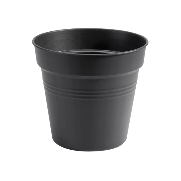 elho-green-basics-nursery-grow-pot-30cm-black