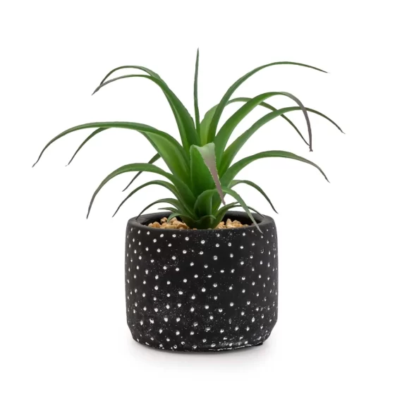 Candlelight Black and White Succulent Spotty Pot