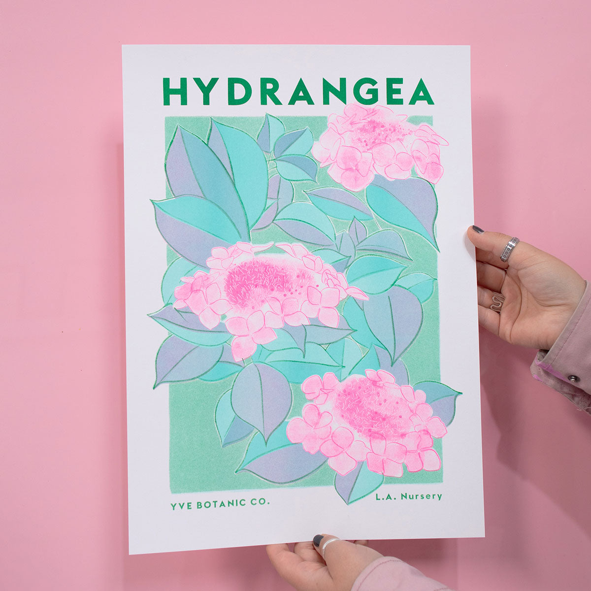 Yve Print Hydrangea A3 Framed Riso Print