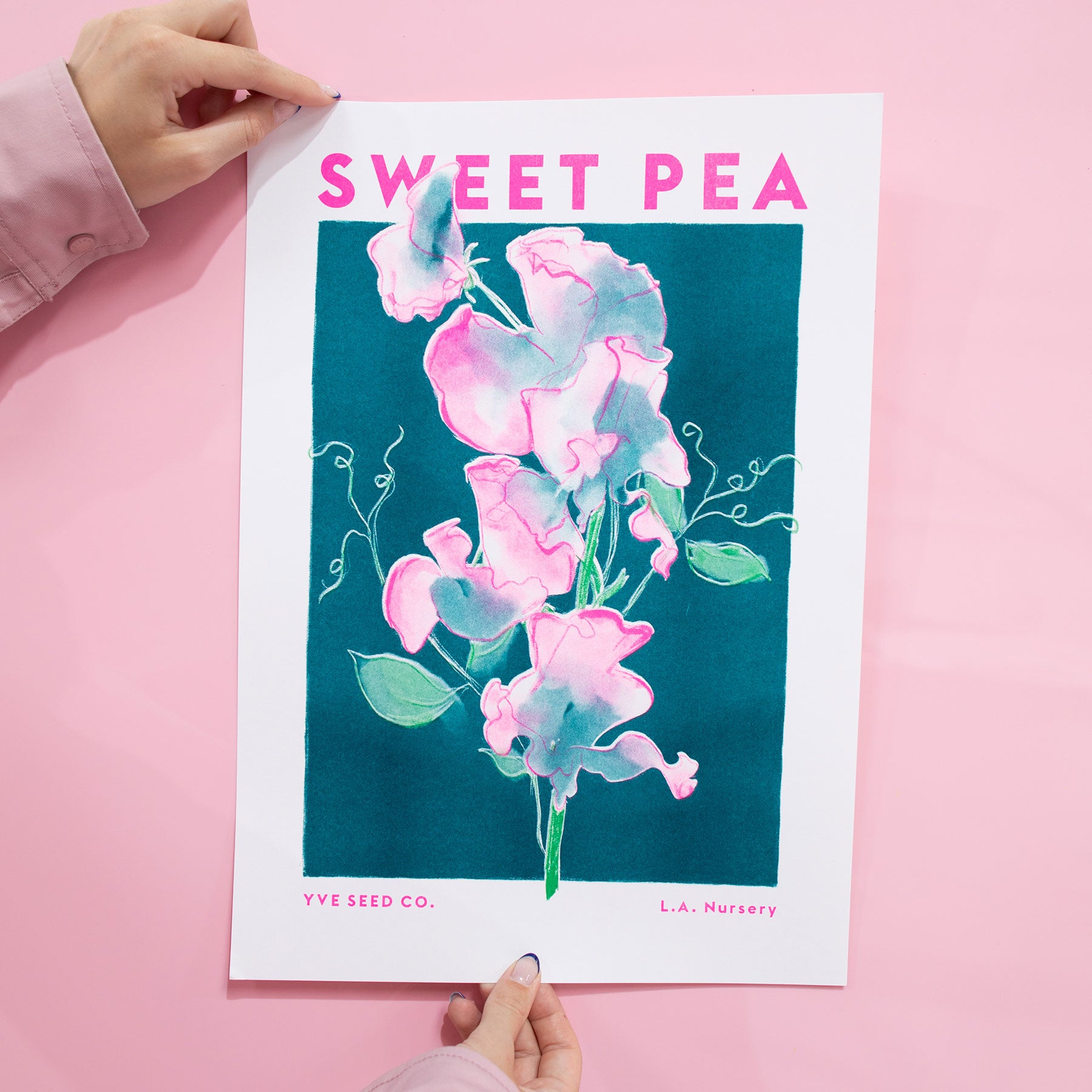 Yve Print Sweet Pea Â· A3 Framed Riso Print