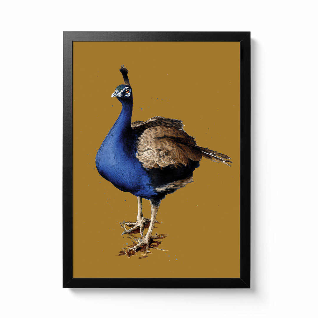 Some ink Nice A3 Peacock Framed Print