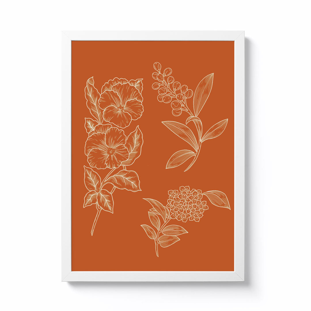 Alice Needham A4 Orange Botanical Framed Print