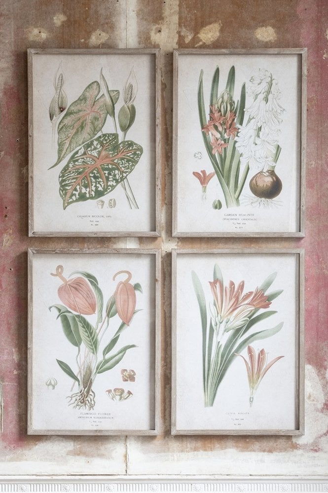 The Home Collection Brookby Set of 4 Red Botanical Wall Art