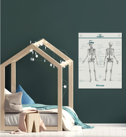 LES JOLIES PLANCHES Poster In Canvas - Anatomy