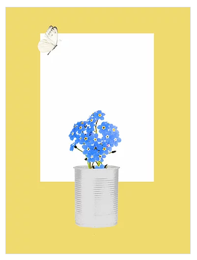 Siobhán Harton Studio A3 Delicious Yellow Forget Forget Me Not Flowers Print