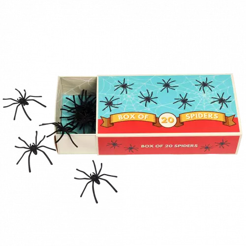 Rex London Box of 20 Spiders