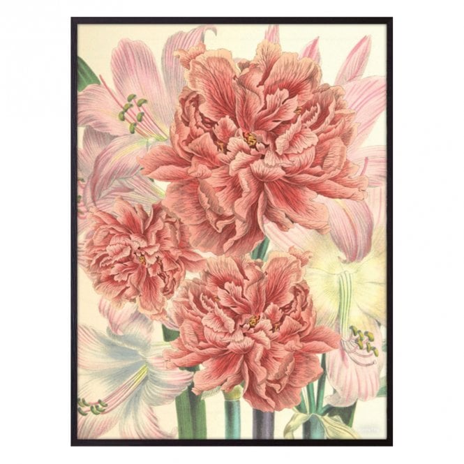 vanilla-fly-peonies-and-lilies-print-30-off