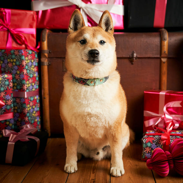 Hiro + Wolf Christmas Snowflakes Dog Collar