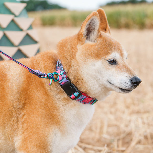 Hiro + Wolf Mud Cloth Adjustable Dog Collar